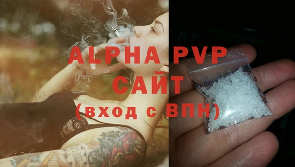 СК Алексин