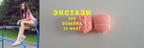 СК Алексин