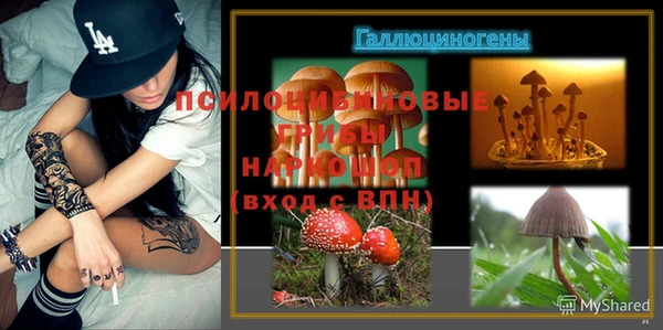 дмт Абаза