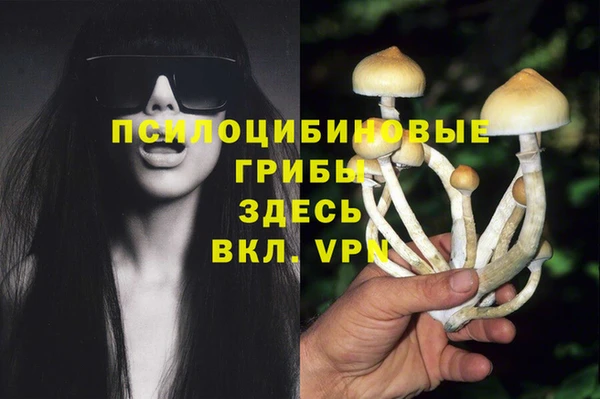 дмт Абаза