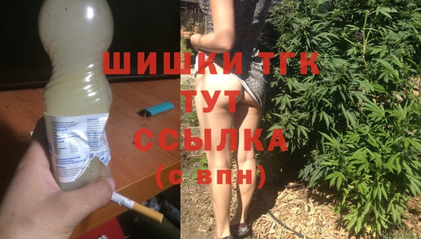 дмт Абаза
