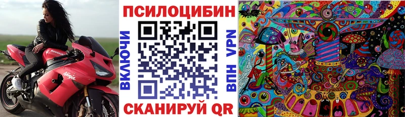 Псилоцибиновые грибы Psilocybine cubensis Анапа